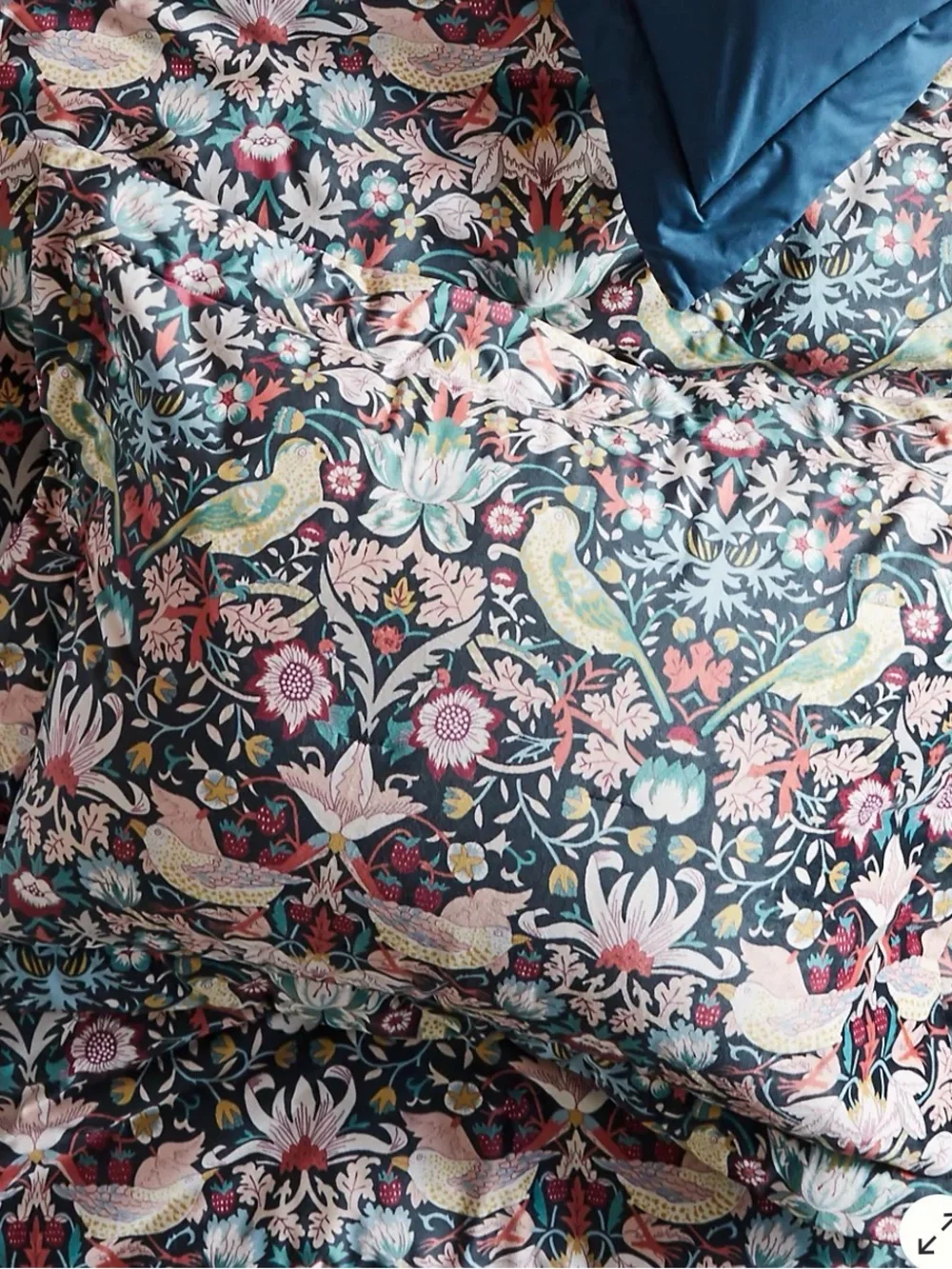 Liberty for Anthropologie Strawberry Thief Shams William Morris - 2 King Shams